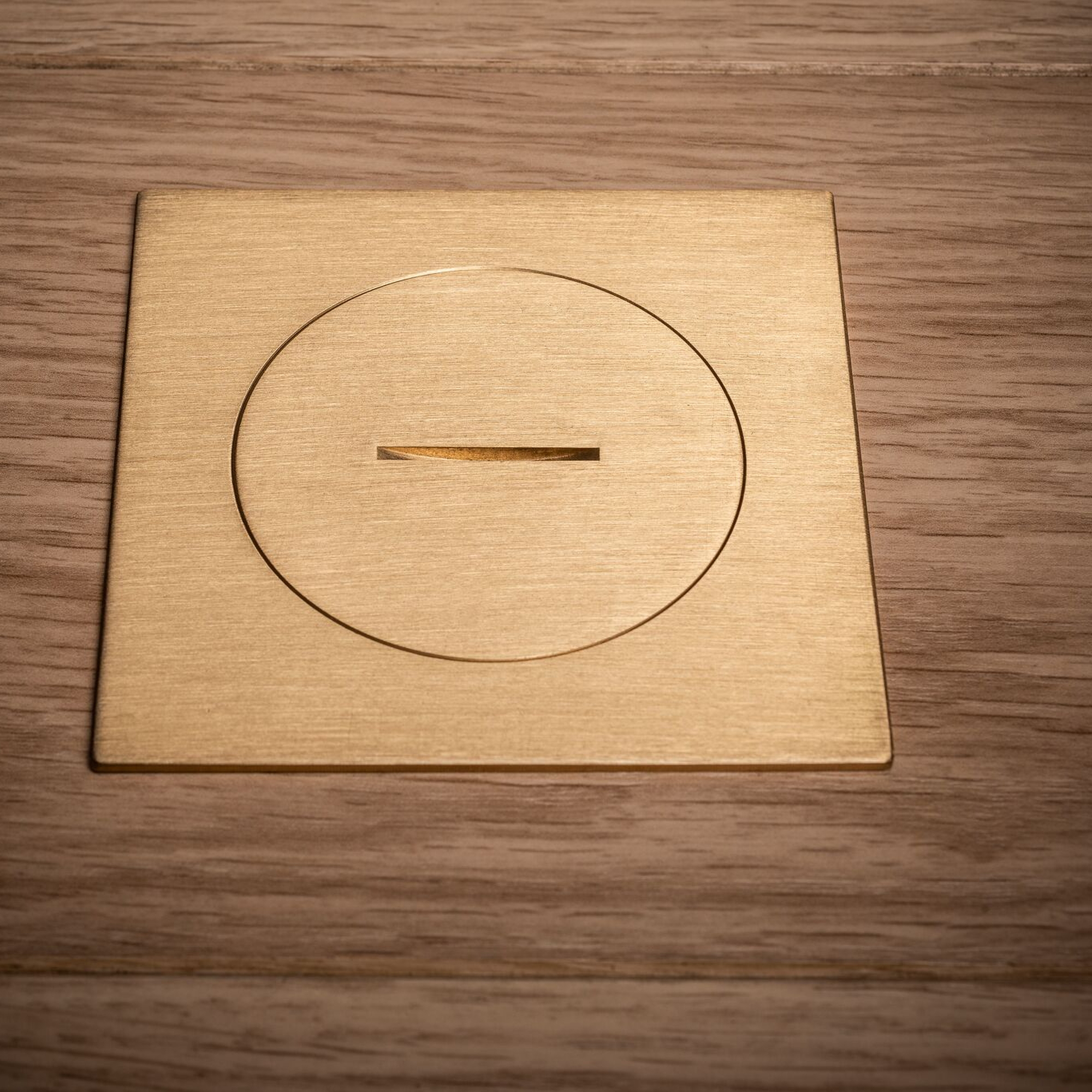 IP66 Brushed Brass
