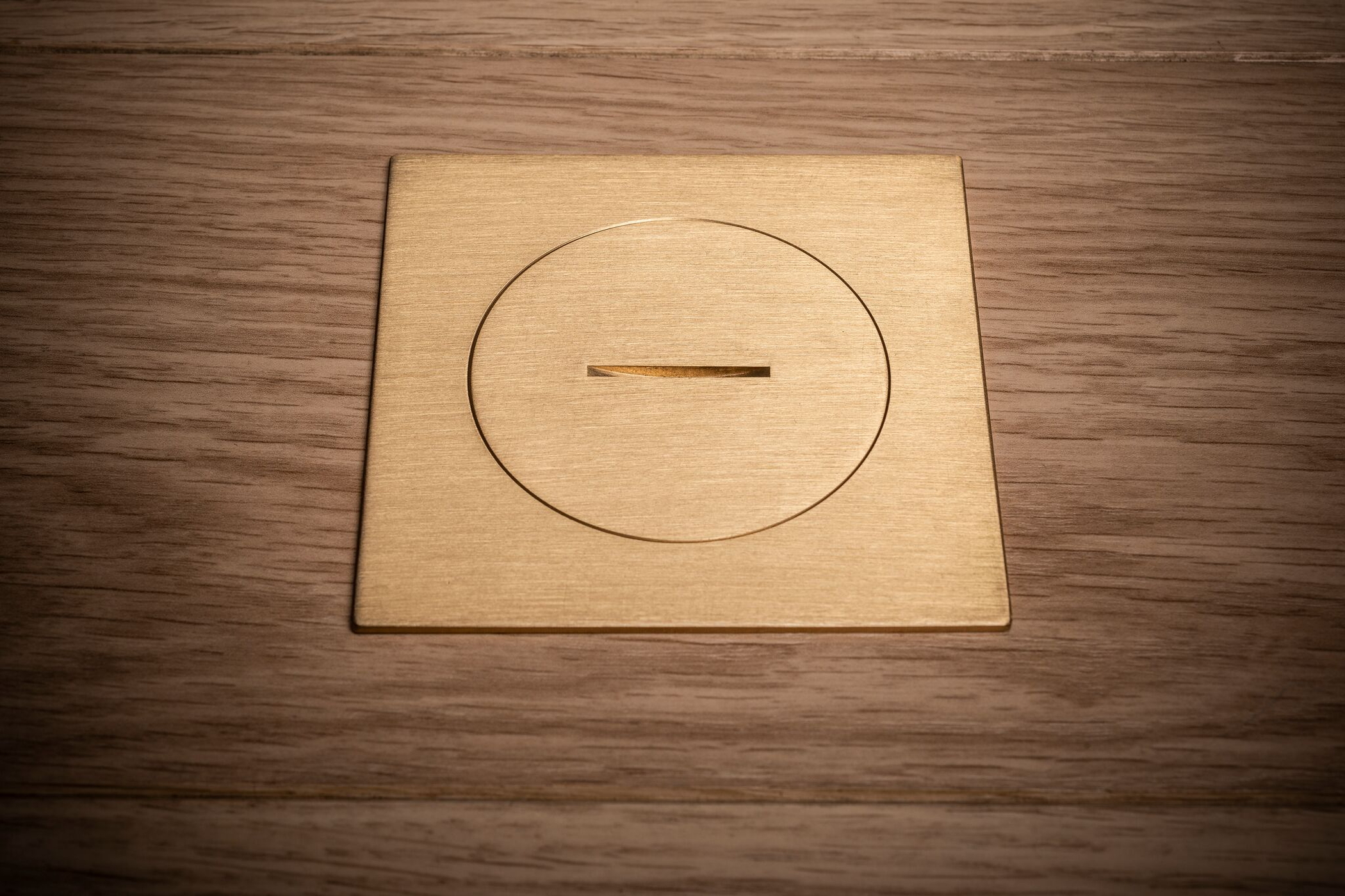 IP66 Brushed Brass