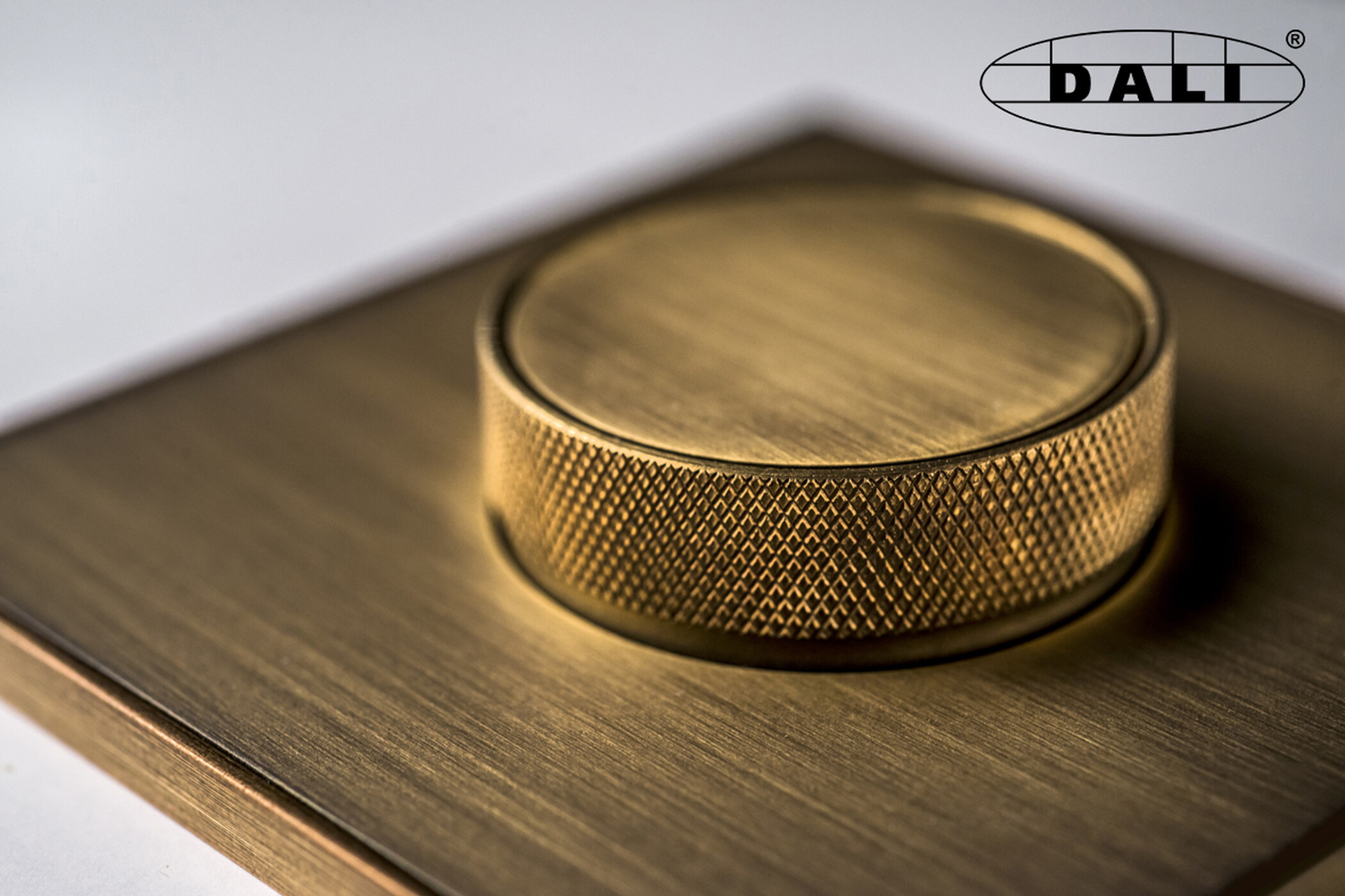 Dimmer Bronze Antique Knurl DALI