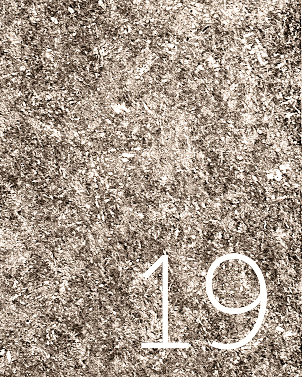 L19 - Tin Antique