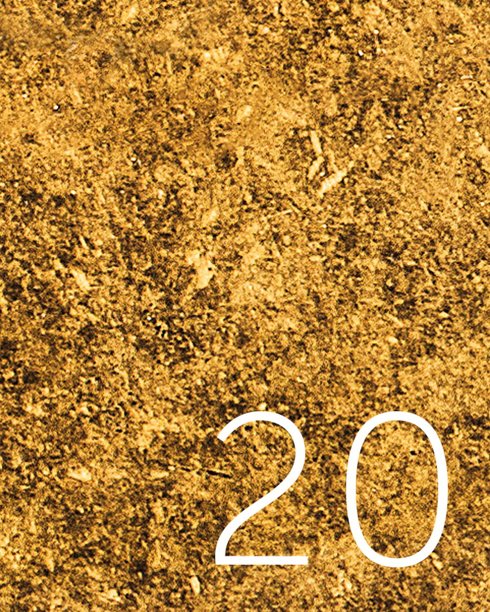 L20 - Brass Antique